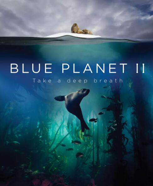 [科普资源] 蓝色星球2 Blue Planet II——高清云盘资源